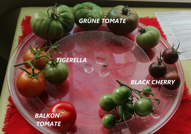 Tomatenrest