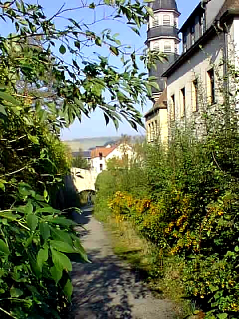 Hinter St. Burkhardt