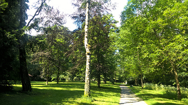 Stadtwald2